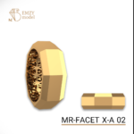 MR-FACET X-A 02