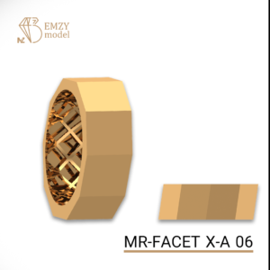 MR-FACET X-A 06