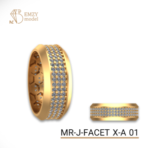 MR-J-FACET X-A 01