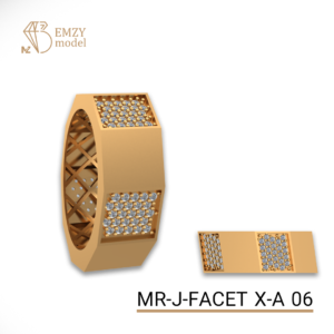 MR-J-FACET X-A 06